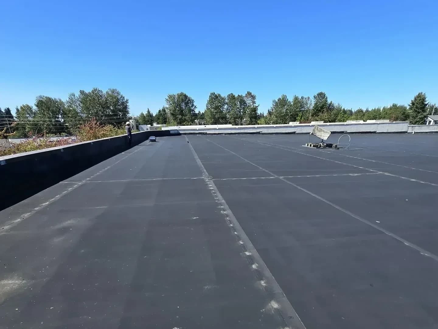 Commercial tenant improvement project by Green O Construction in Portland metro