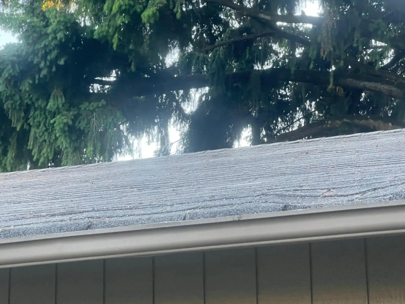 Synthetic underlayment dry-in